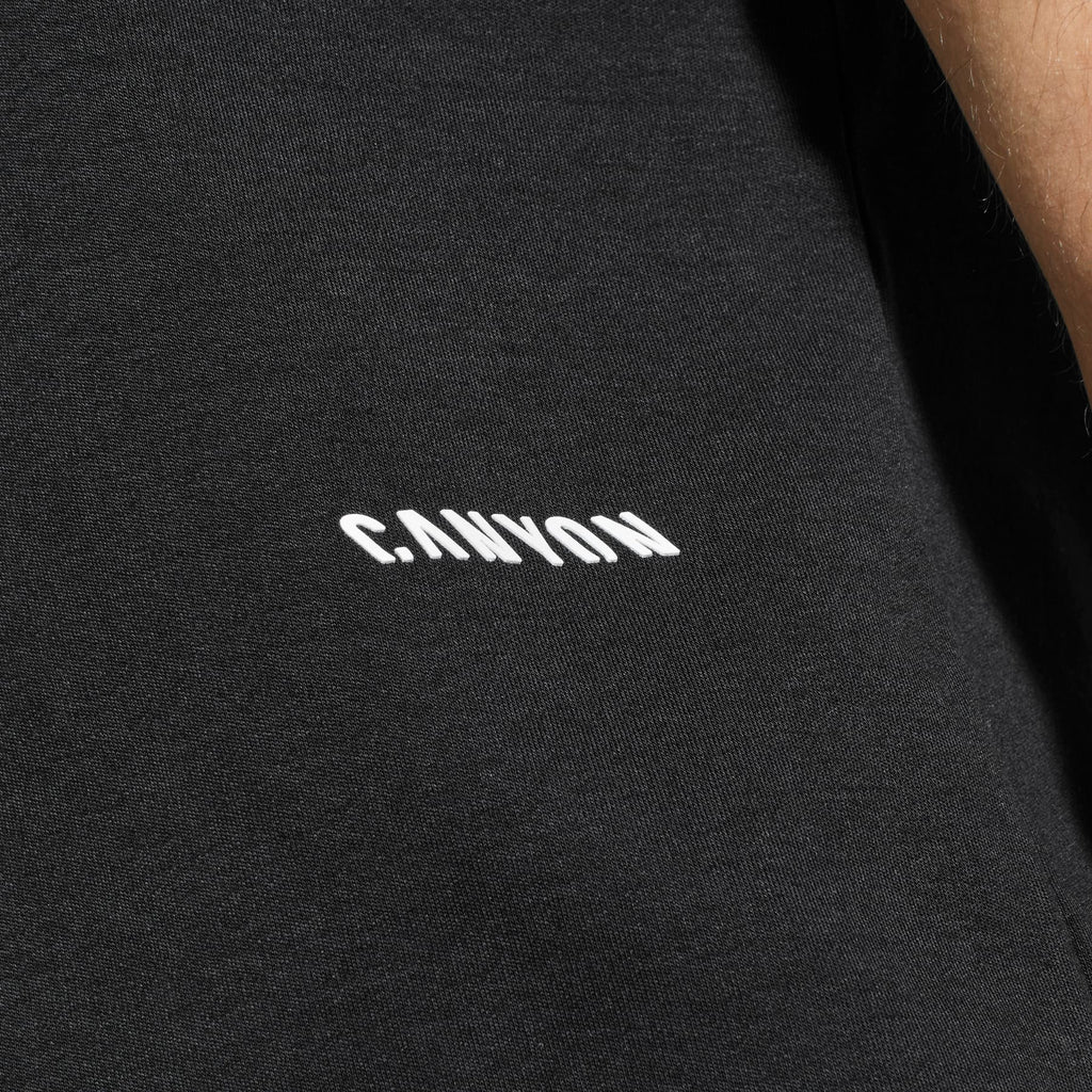 Canyon Men's T-Shirt