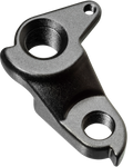 Canyon Derailleur Hanger No. 38