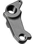 Canyon Derailleur Hanger No. 39